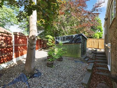 Picture 25